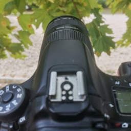 Photopassion49